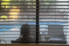 09793034-2FBC-4A6B-8B83-A002099093B3_1_105_c