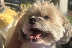 BD61A246-E596-4DE5-868E-6DE65AE7E7CC_1_105_c