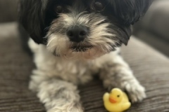 C8E2F469-A174-4E55-847F-ED447FE5B230_4_5005_c